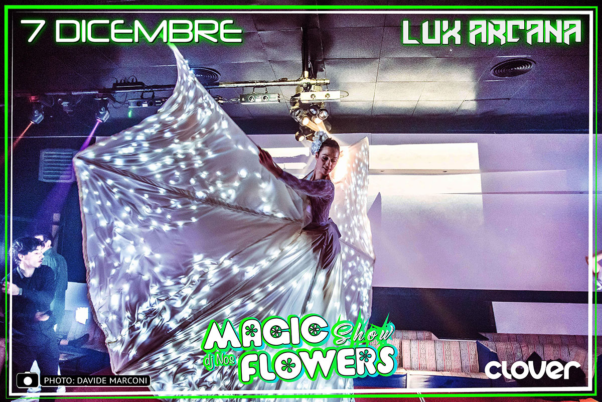 Farfalla-luminosa-per-discoteca-(2).jpg